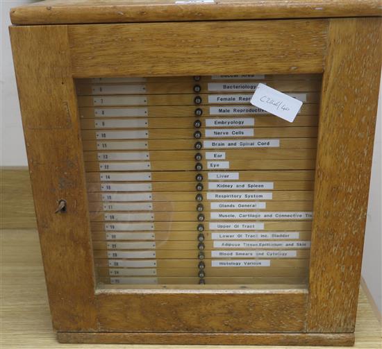A wooden slide cabinet with selection of human biological slides